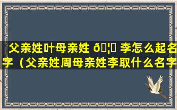 父亲姓叶母亲姓 🦉 李怎么起名字（父亲姓周母亲姓李取什么名字）